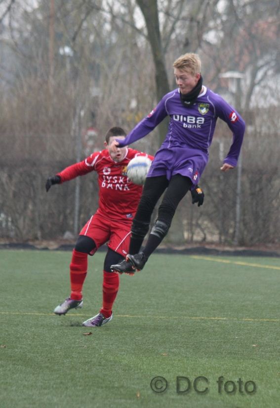 HOLB FCN015